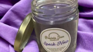 Speak Now - Swiftie Candle 16oz